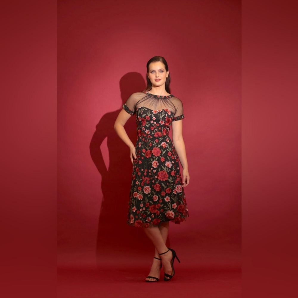 Maggy London Isabel Embroidered Illusion